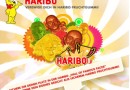 Gewinne Dich als Haribo-Fruchtgummi-Bild